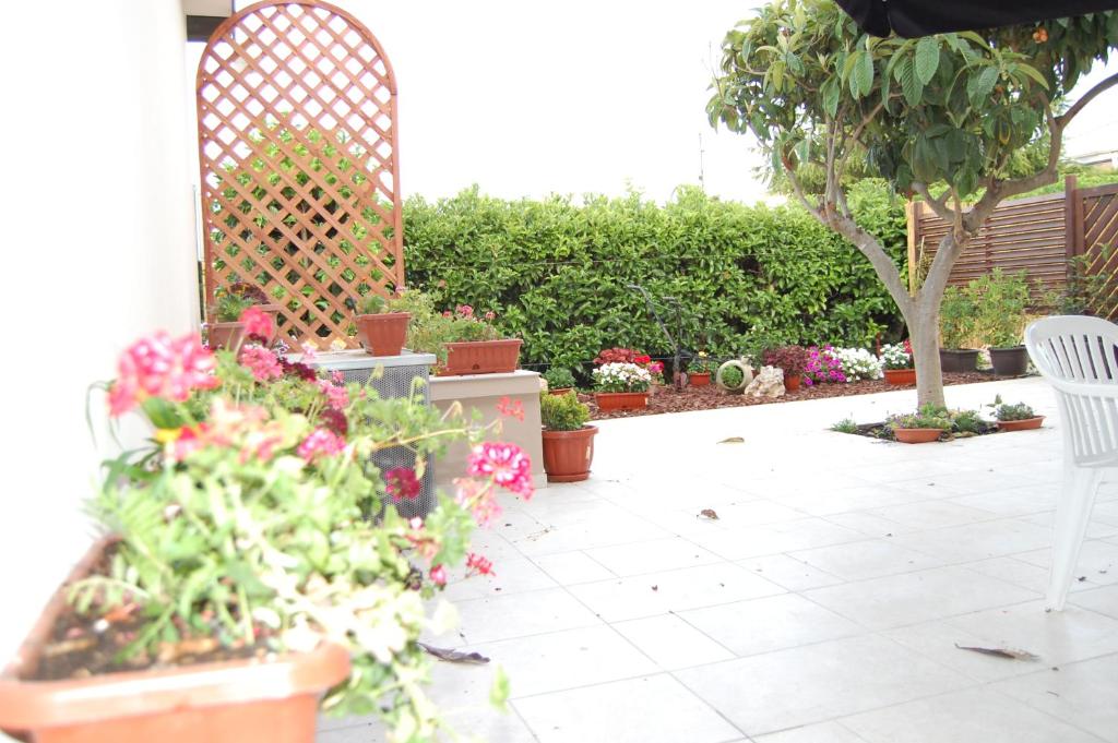 B&B LATORRACA photo 4