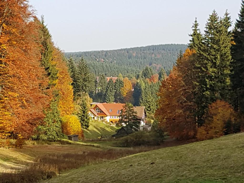 Ferienhaus am Rennsteig photo 2