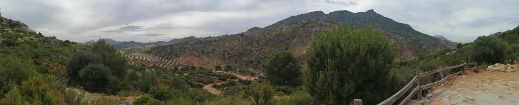 La solana de turon. El pino photo 3