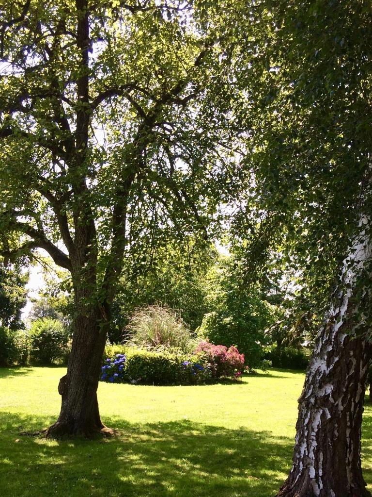 La Crepelliere - 시설