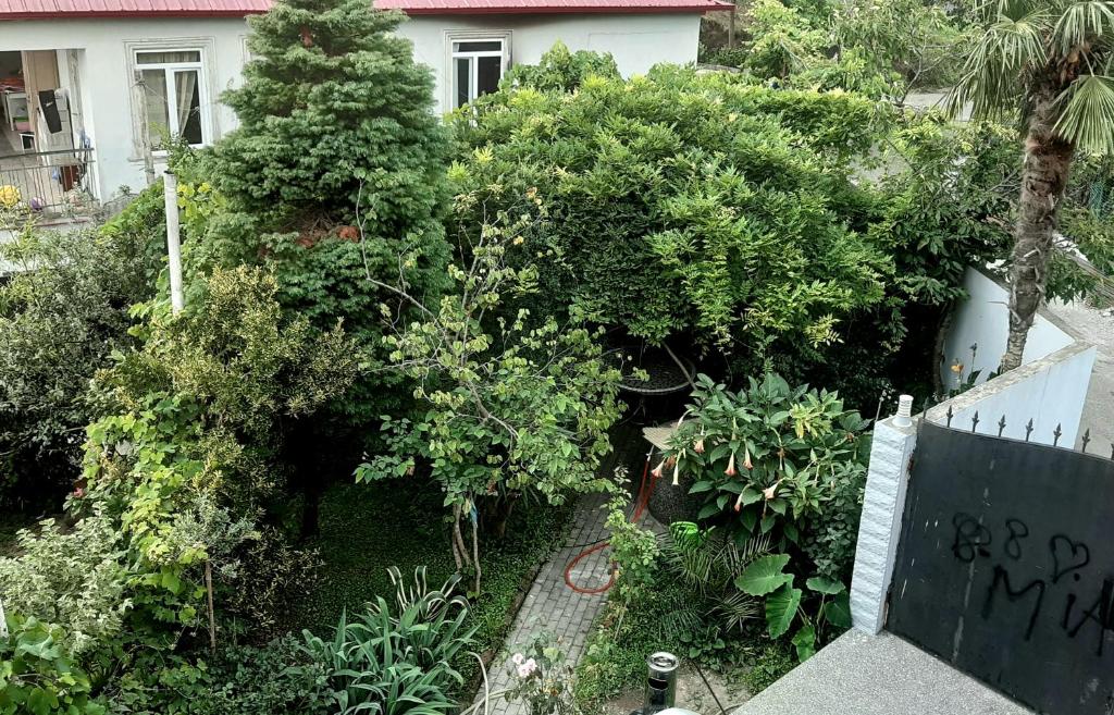TJ Guest House photo 2