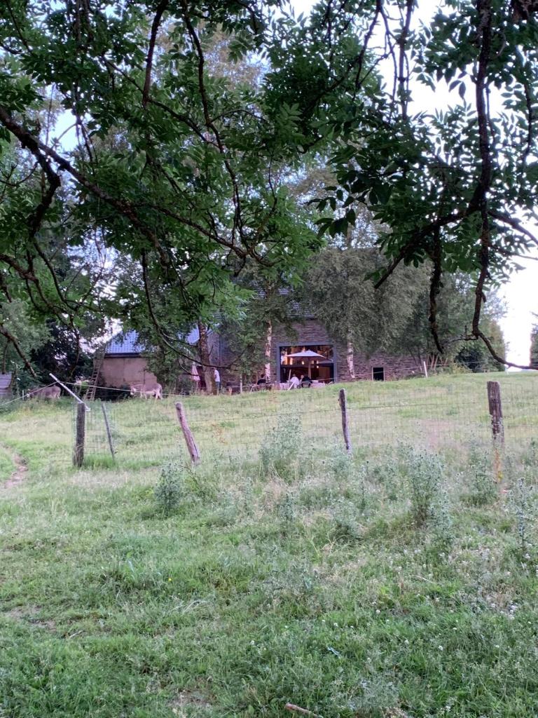 La Ferme du Grand Frêne photo 3
