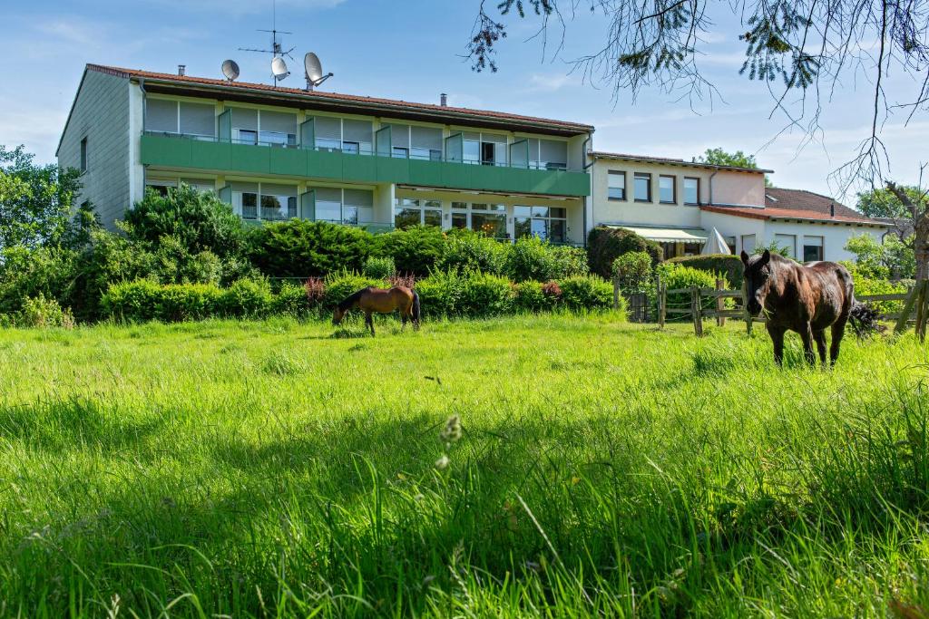 Hotel Schleifmühle photo 1