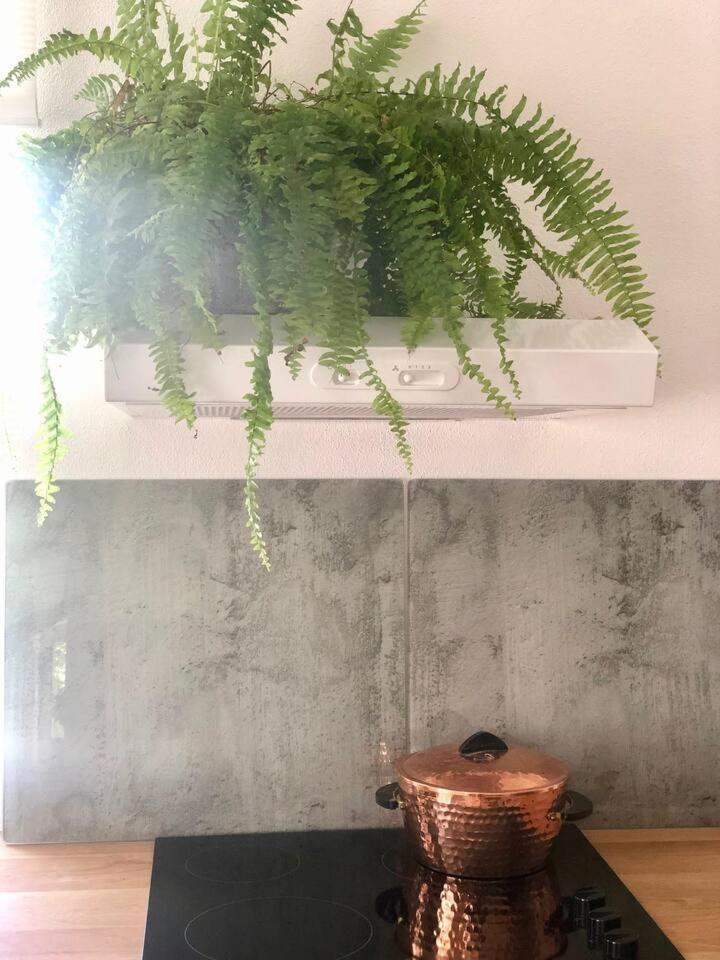 Into The Green Apartment photo 4
