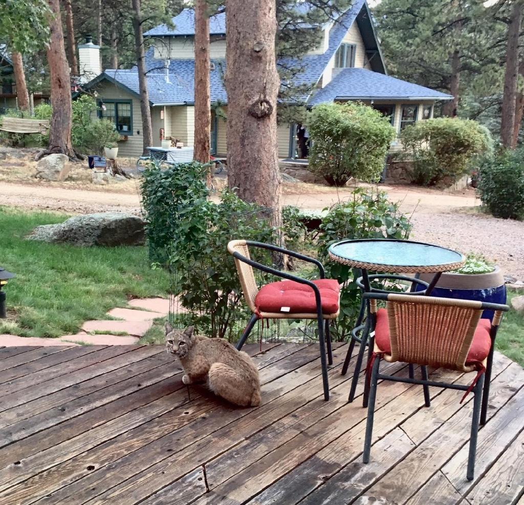 Romantic RiverSong Inn photo 4