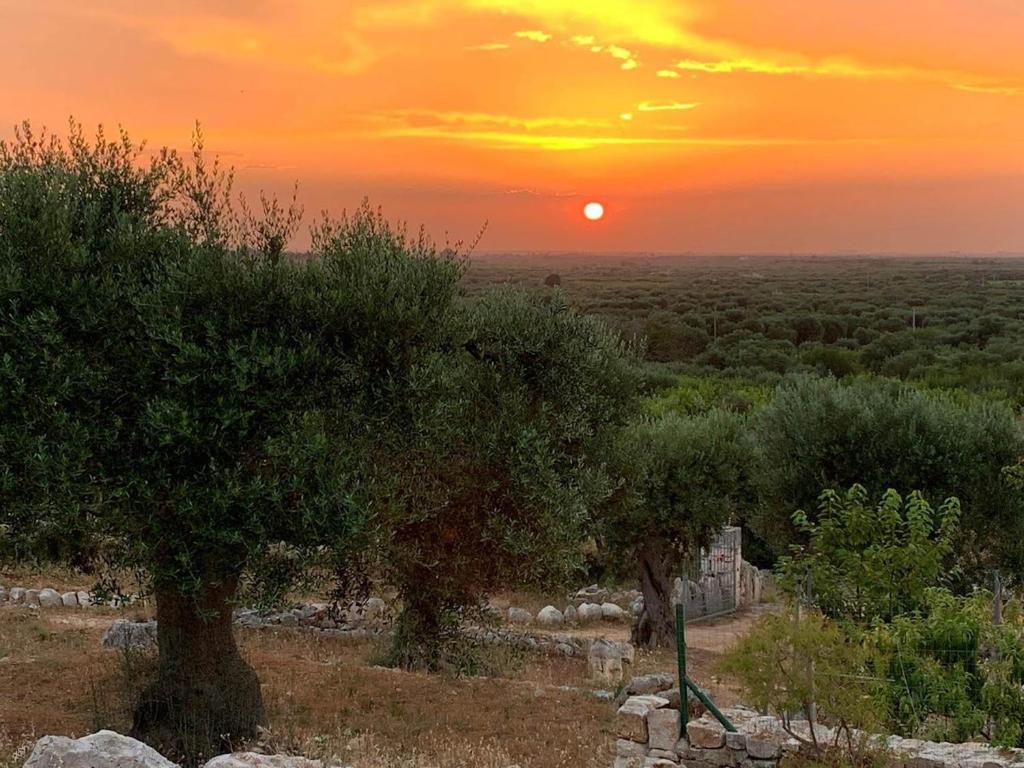 B & B Monte Adamo photo 4