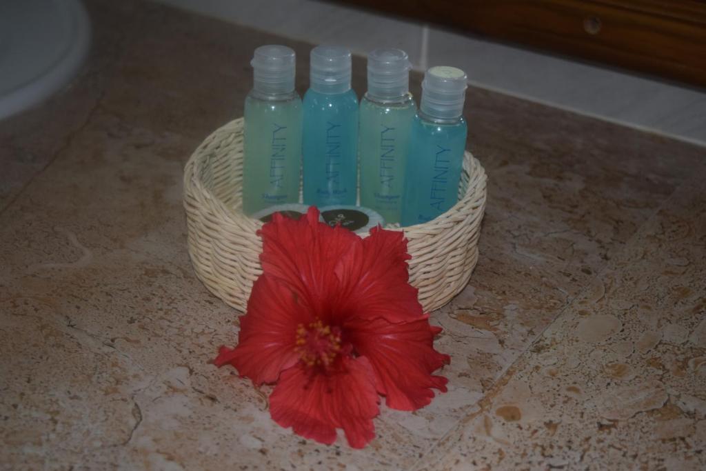 Номер (Улучшенное шале), Chalet Bamboo Vert