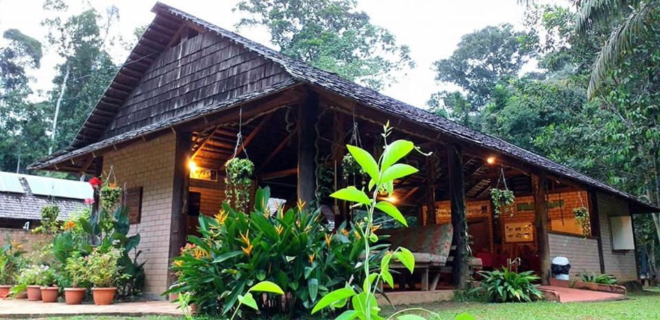 ATTA Rainforest Lodge photo 1