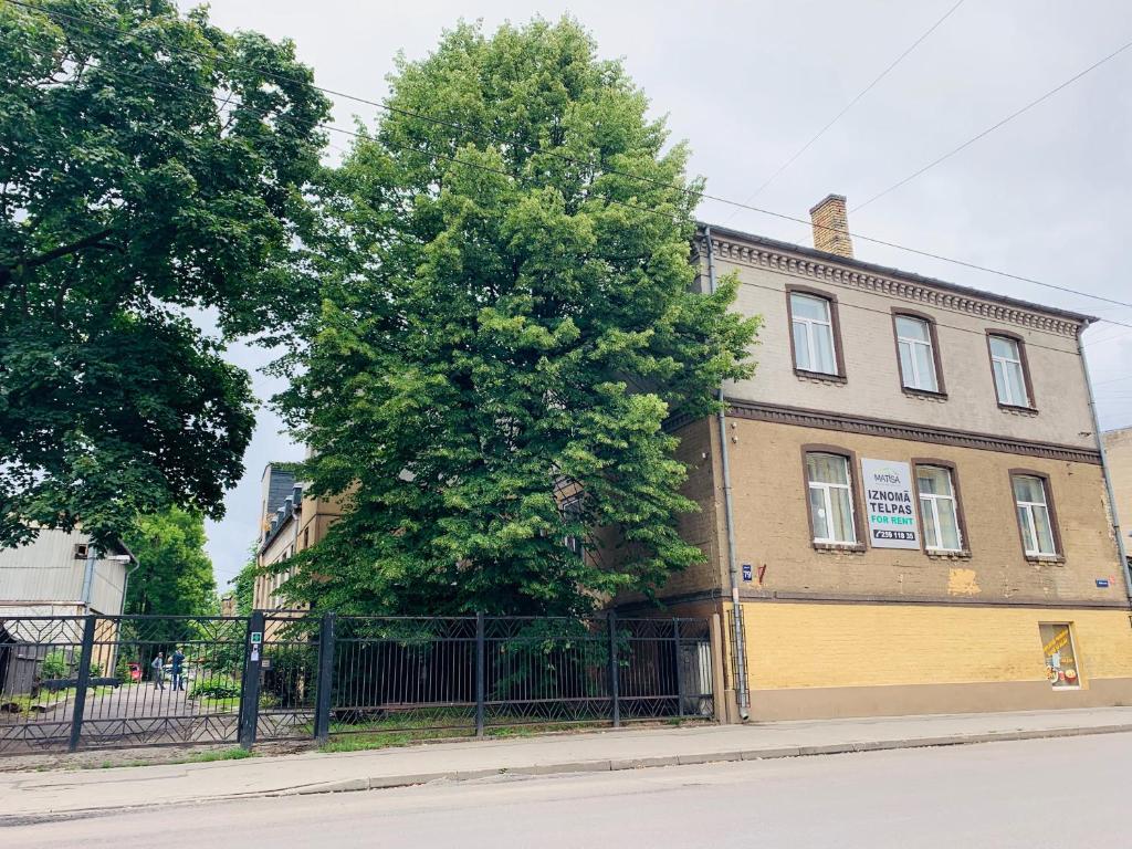 Dandelion Apartments Matisa with Free Parking