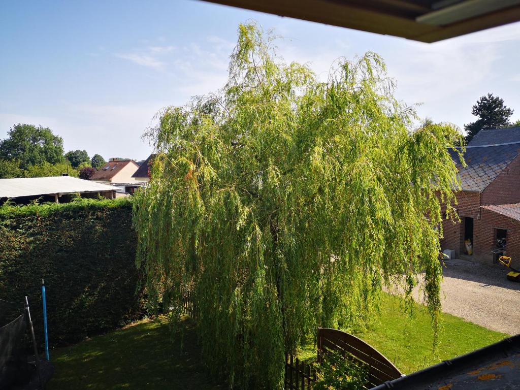 Gite a la Ferme - Baie de Somme photo 1