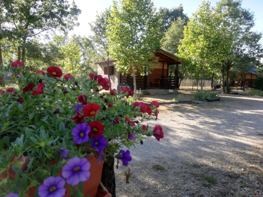 Cabañas Vallecino photo 3