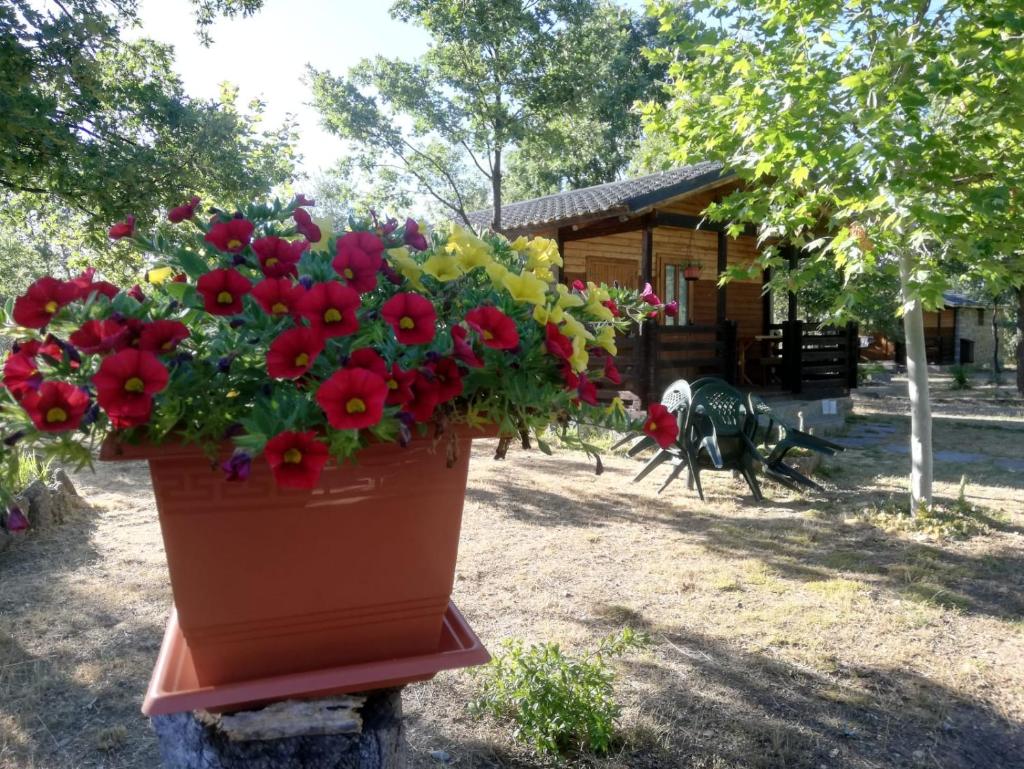 Cabañas Vallecino photo 2