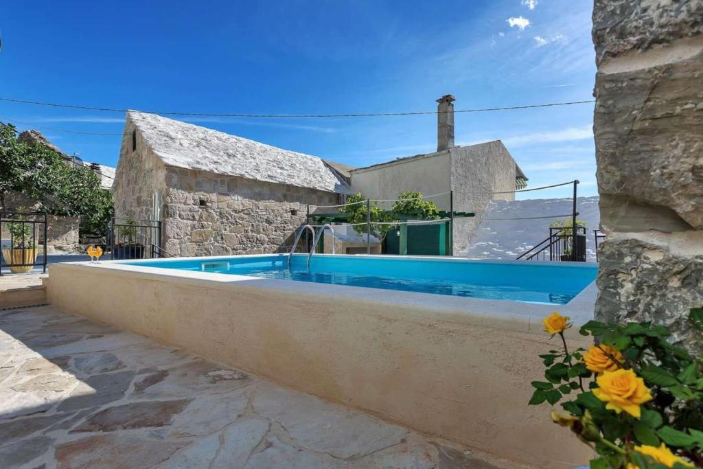 Luxury Villa Topolina photo 4