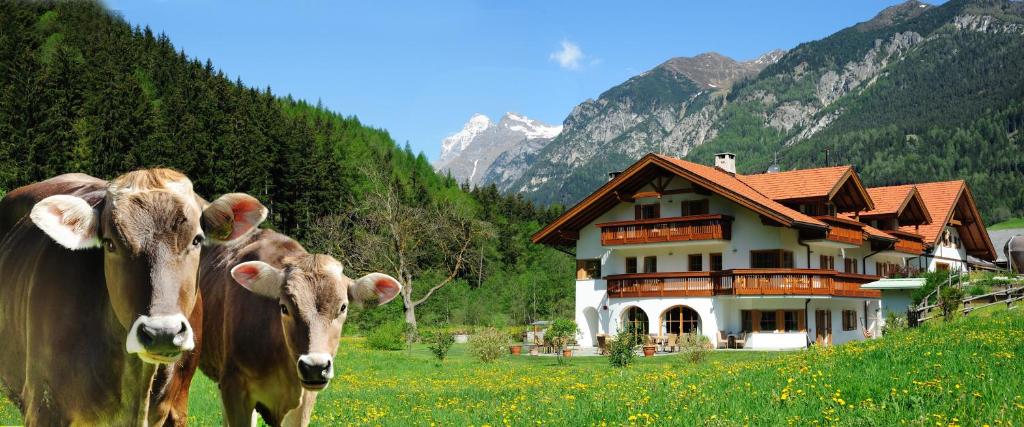 Appartement Wolfenhof photo 2