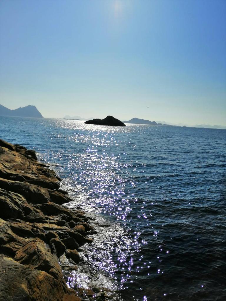 Holiday house in Lofoten photo 2