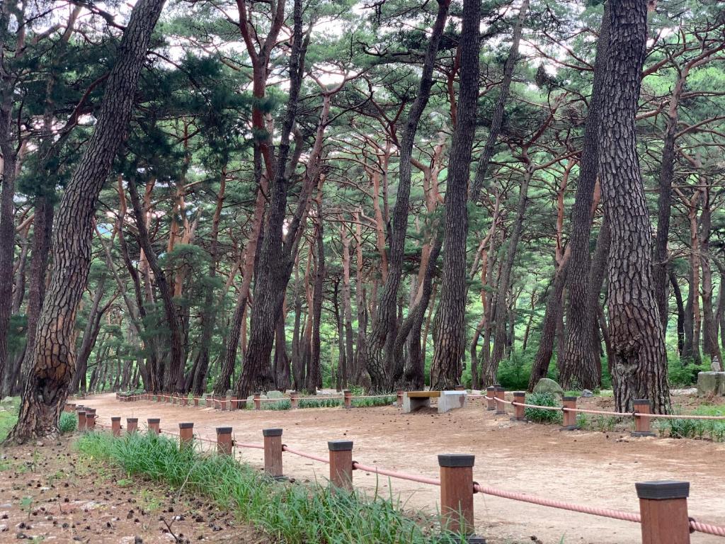 Fresh Hill photo 2