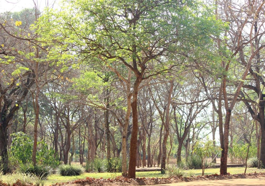 Barefoot Lodge and Safaris - Malawi photo 3