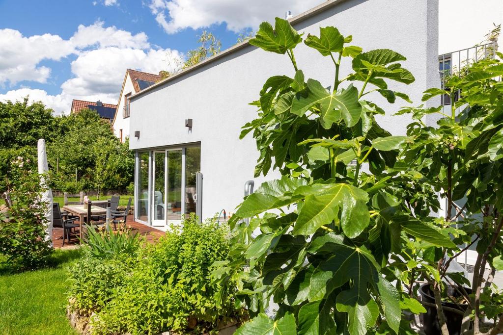 Ferienwohnung im Paradiesgarten photo 3