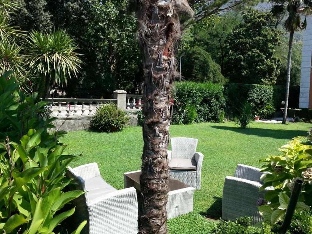 Apartments Vojin photo 4