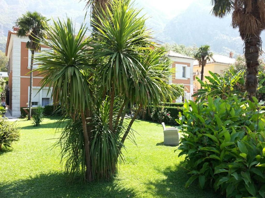 Apartments Vojin photo 2