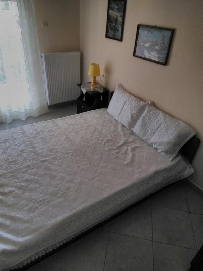 Stavroula photo 3