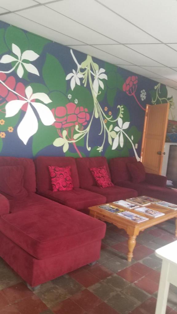 Luna International Hostel photo 2