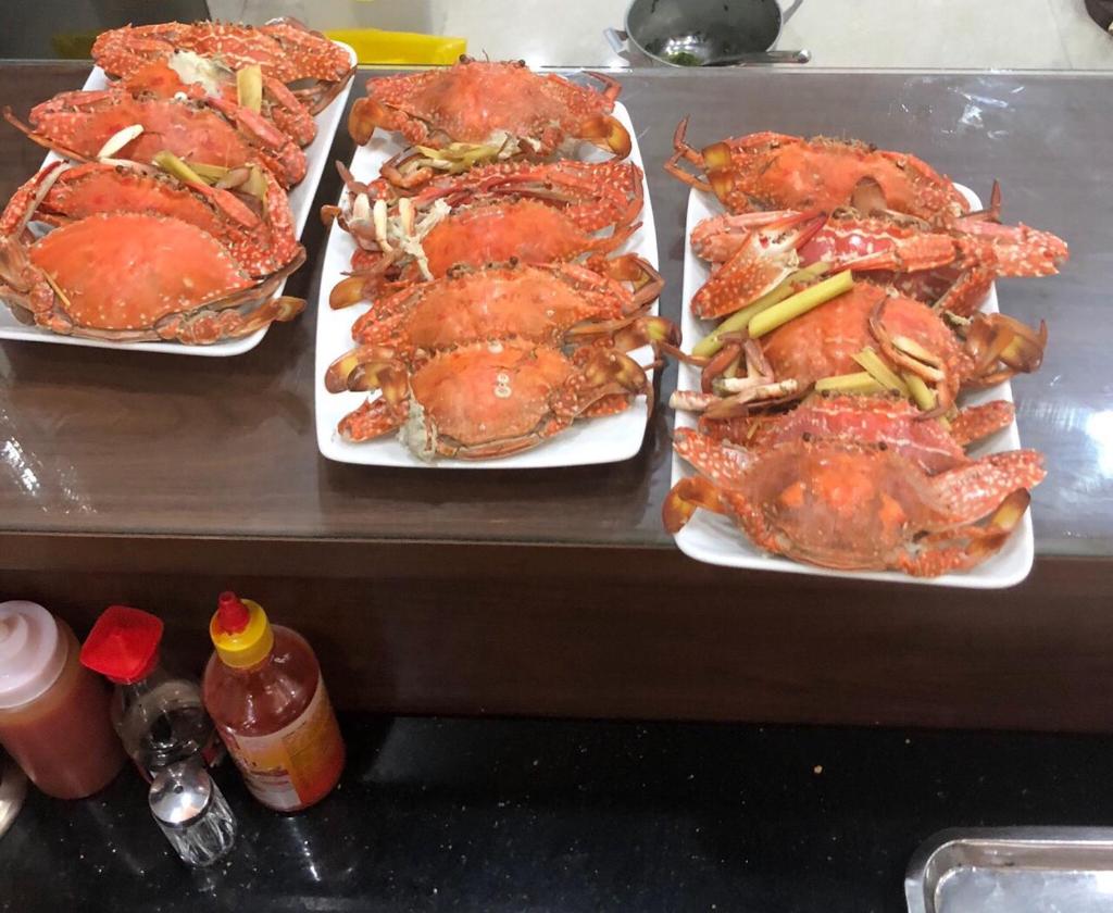 ROSY HẠ LONG HOTEL