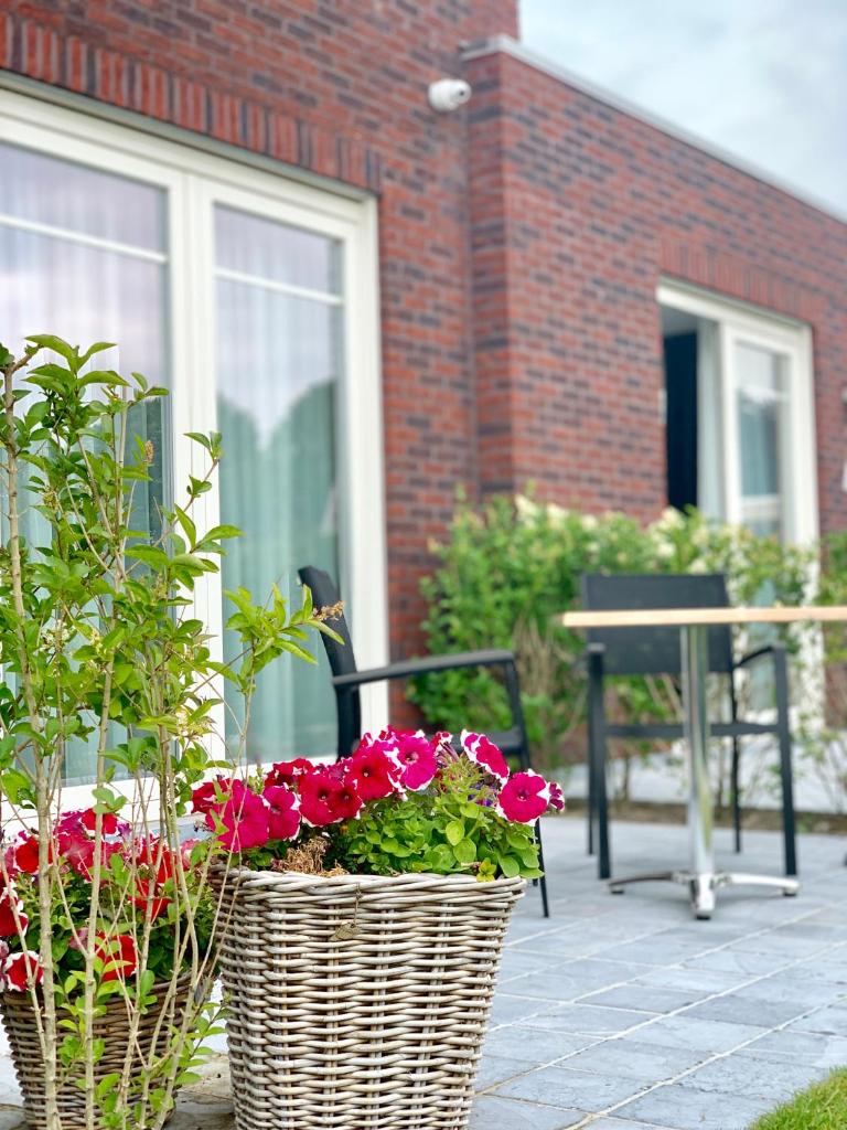 Groede B&B photo 3