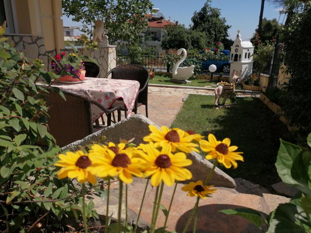 Swan's garden olympus luxury apartment photo 4