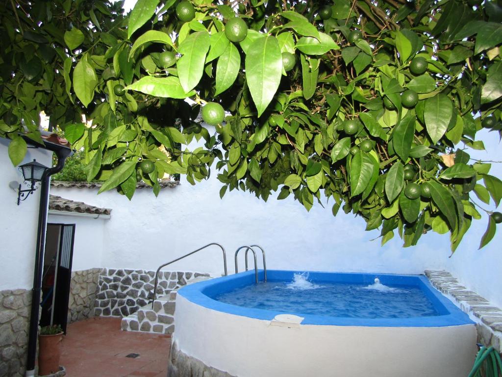 La Casa 5 photo 4