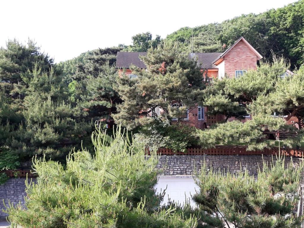 The Hyu Largo