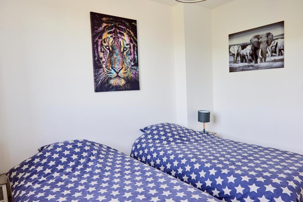 Le Rayon de Soleil - appartement 2 chambres 90m2 photo 3