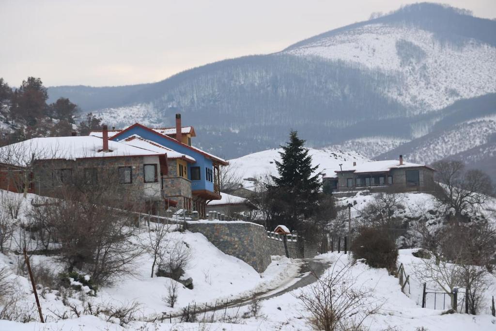 Casa Kedrova, Mountain Voras-Kaimaktsalan Edessa photo 3