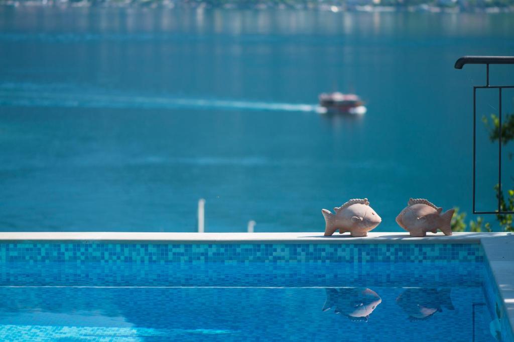 Villa Casa Nostra - Kotor photo 1