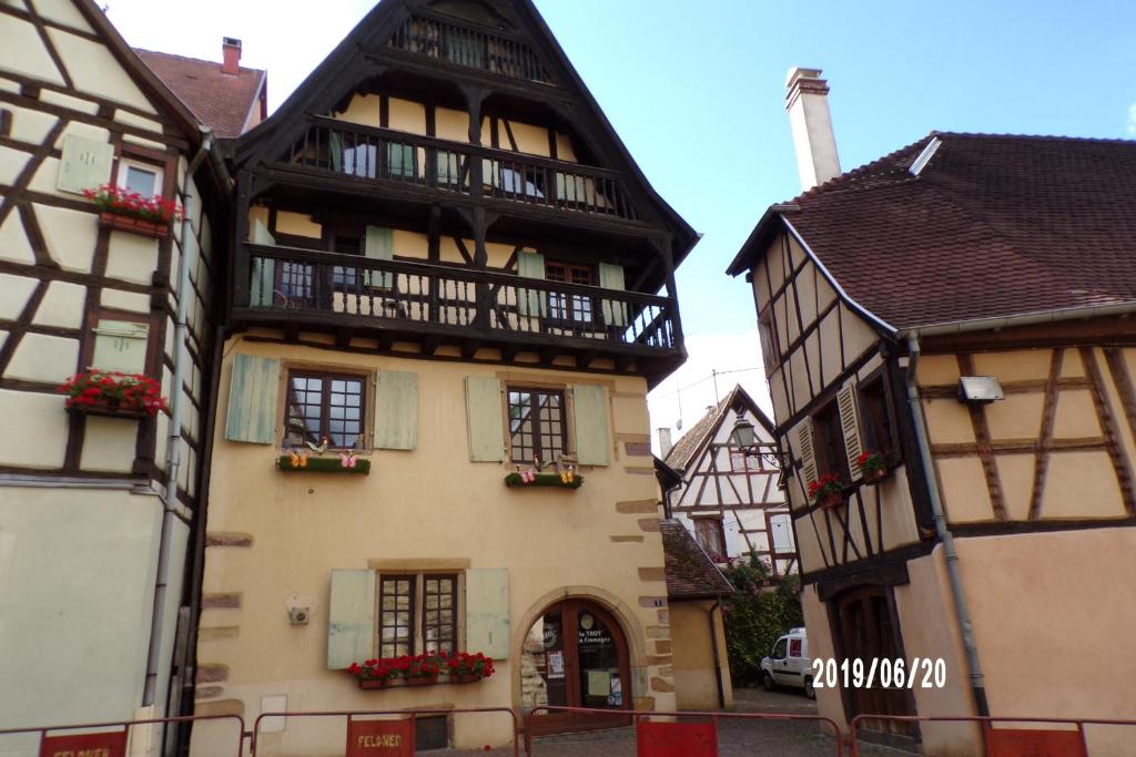 Duplex Saint Lustre, view over castle and storks, 5 mn from Colmar photo 2