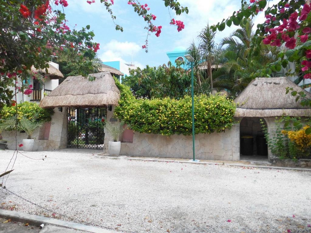 Casa Gatos photo 1