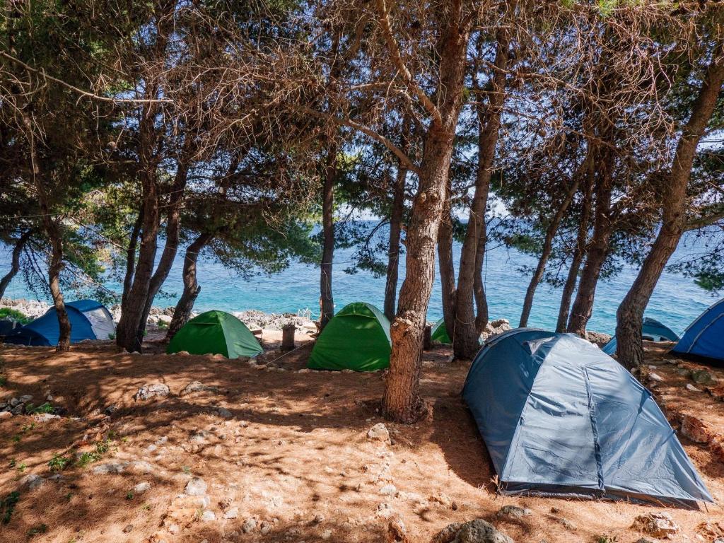 THE SEA CAVE CAMPING photo 2