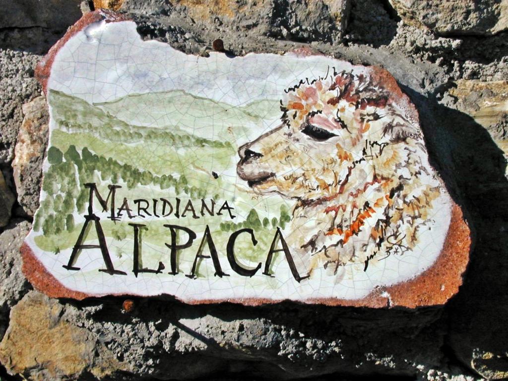 Maridiana Alpaca Country House photo 4