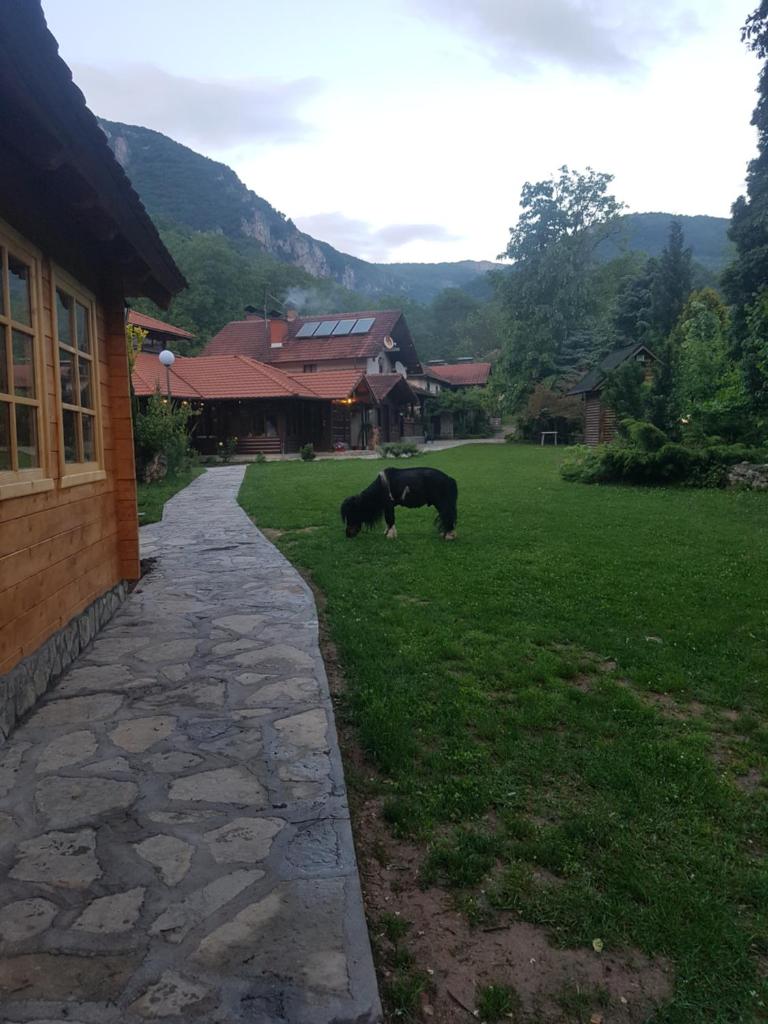 Vodopad Lisine photo 2