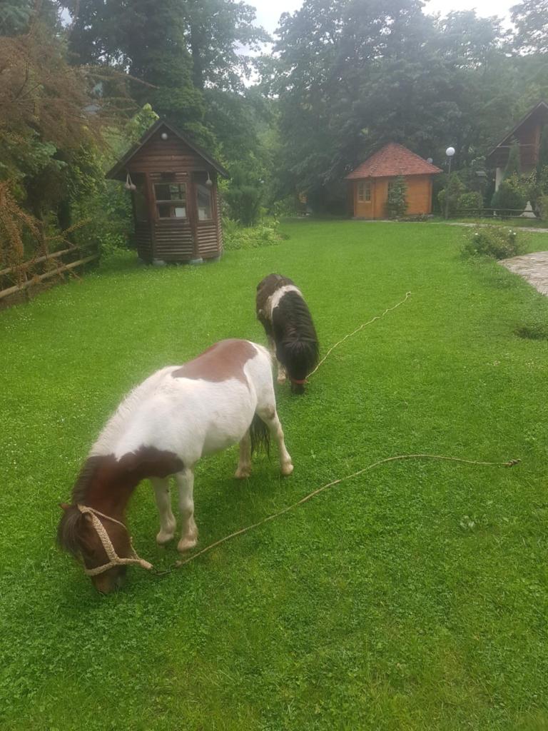 Vodopad Lisine photo 3
