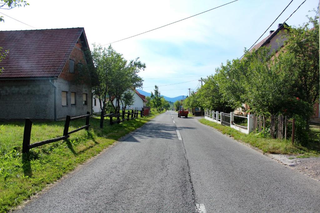 CONJAR photo 4