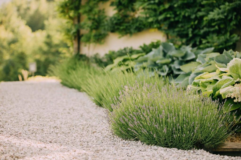 Na Kupčku Estate "Nature Reatreat & Wellness" photo 2