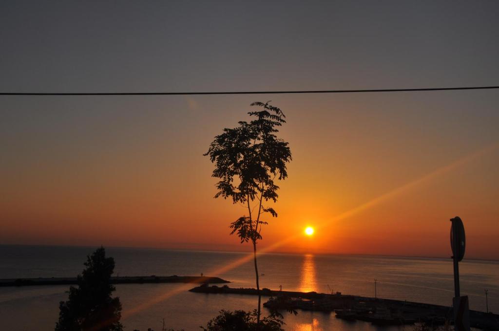 Panorama Damla Otel photo 4