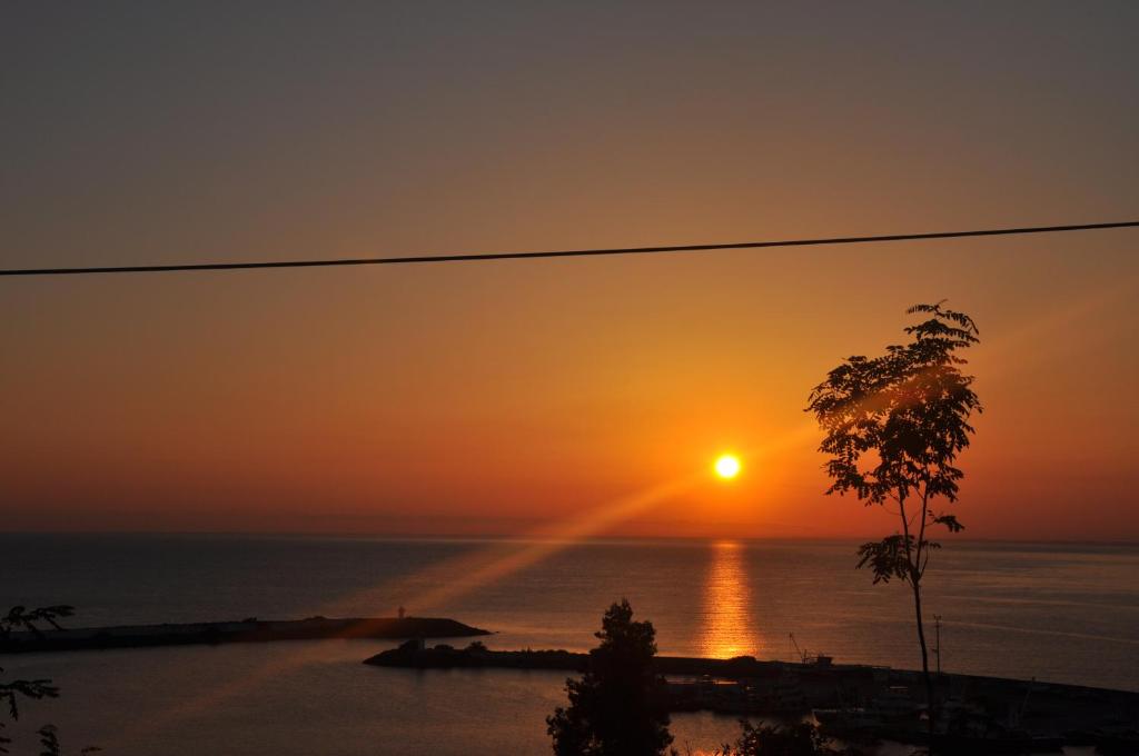 Panorama Damla Otel photo 3
