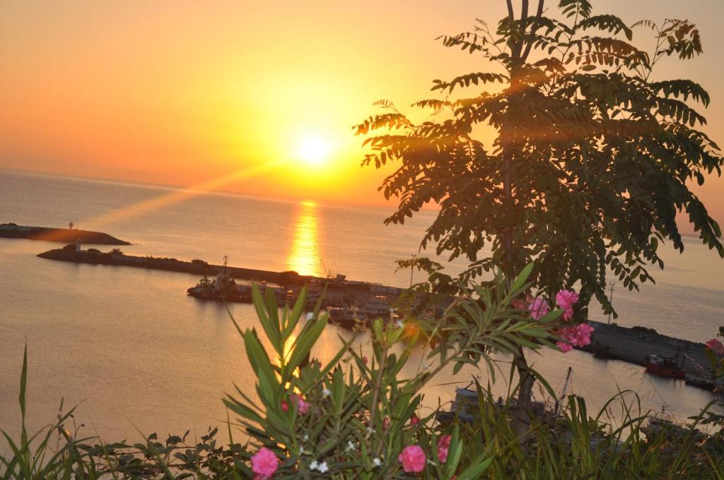 Panorama Damla Otel photo 2