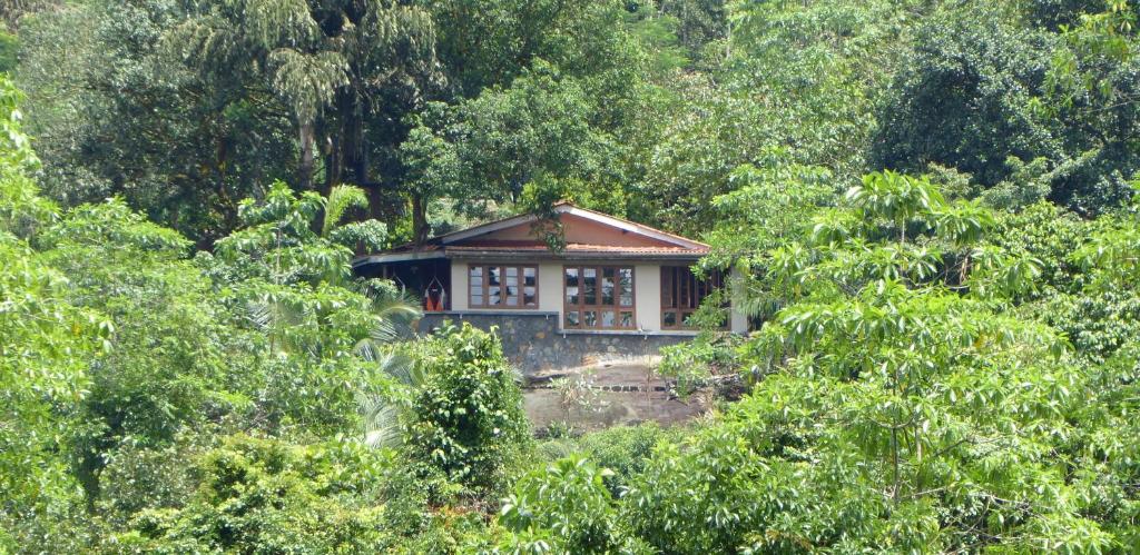 Singharaja Garden AGRO ECO Lodge photo 3