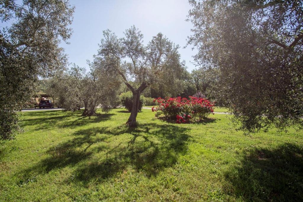 Agriturismo La Sosta di Annibale photo 2
