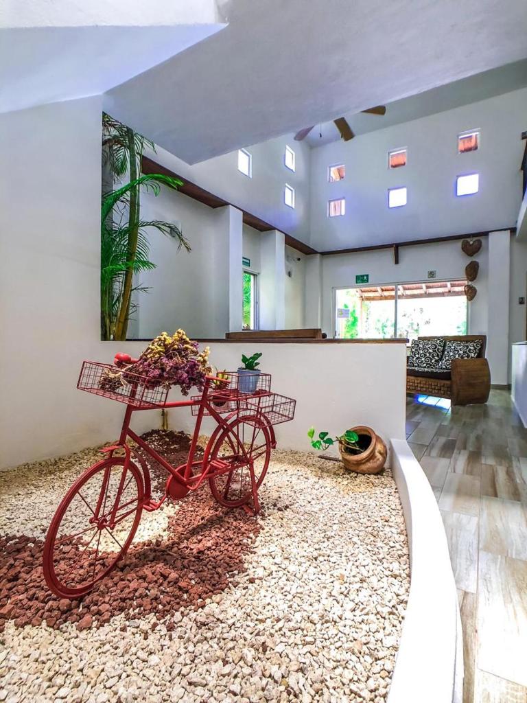 Villas Picalu Studios & Suites photo 4