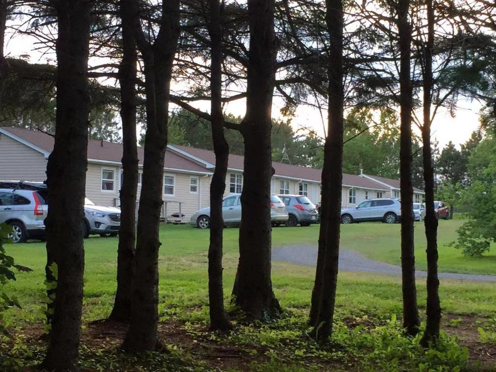 Rachel's Motel and Cottages photo 3