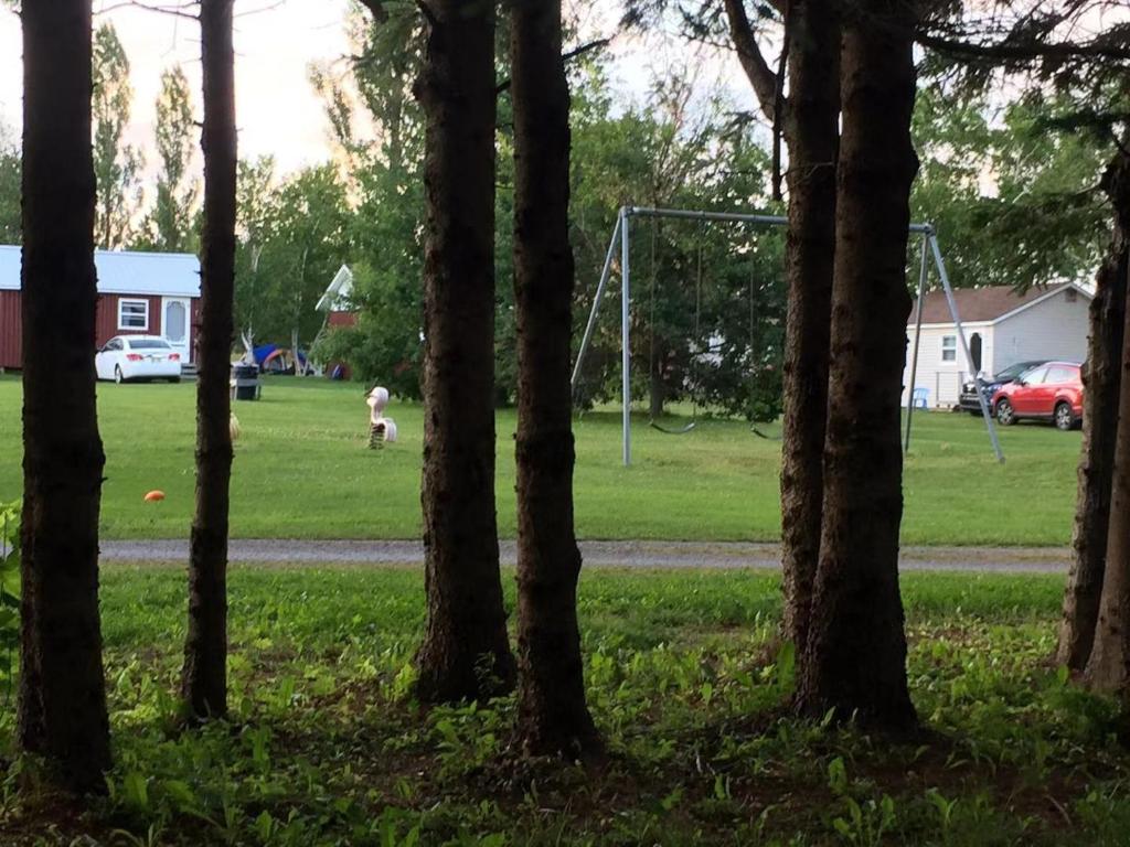 Rachel's Motel and Cottages photo 2